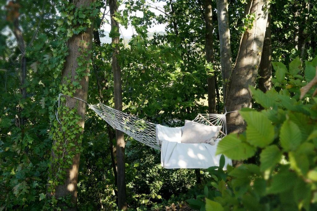 Wohnung Am Fusse Des Schwarzwalds Oberkirch  Zewnętrze zdjęcie